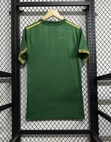 2025 Mexico Special Edition S-4XL Cheap Soccer Jerseys Yupoo