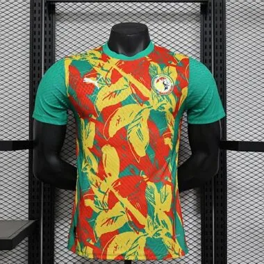 2025 Players Senegal Training Kit Cheap Football Jersey Wholesale Yupoo