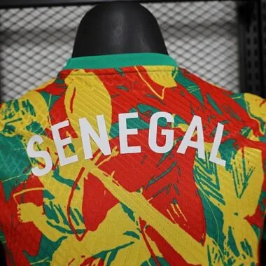 2025 Players Senegal Training Kit Cheap Football Jersey Wholesale Yupoo