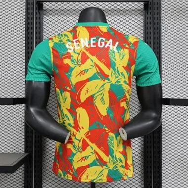 2025 Players Senegal Training Kit Cheap Football Jersey Wholesale Yupoo
