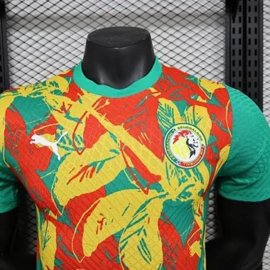 2025 Players Senegal Training Kit Cheap Football Jersey Wholesale Yupoo