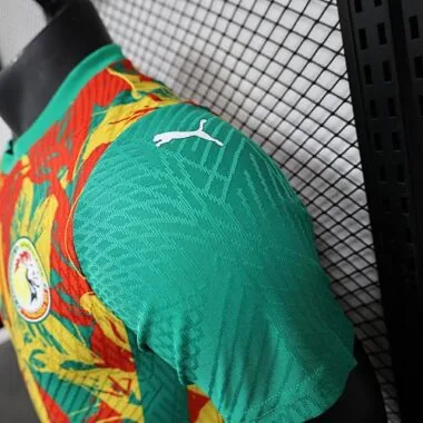2025 Players Senegal Training Kit Cheap Football Jersey Wholesale Yupoo