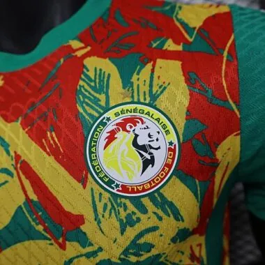 2025 Players Senegal Training Kit Cheap Football Jersey Wholesale Yupoo
