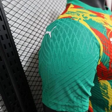 2025 Players Senegal Training Kit Cheap Football Jersey Wholesale Yupoo