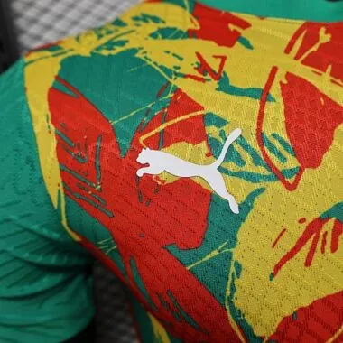 2025 Players Senegal Training Kit Cheap Football Jersey Wholesale Yupoo