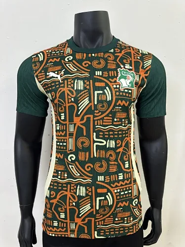 2025 Players Côte d#039;Ivoire Training Kit Cheap Football Jersey Wholesale Yupoo