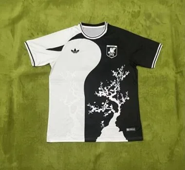 2024 Japan Soccer Jerseys Yupoo