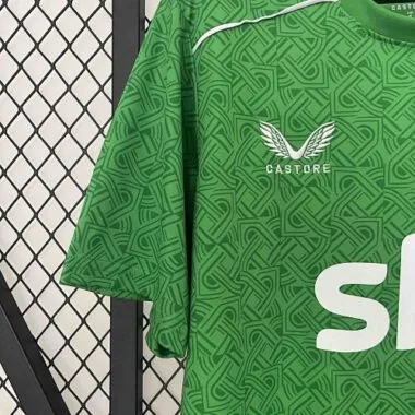 2024 Ireland Home Kit S-4XL Cheap Football Jersey Wholesale Yupoo in Nicejerseyshop Soccer Jerseys Y