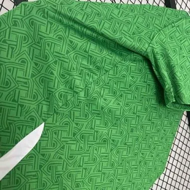 2024 Ireland Home Kit S-4XL Cheap Football Jersey Wholesale Yupoo in Nicejerseyshop Soccer Jerseys Y