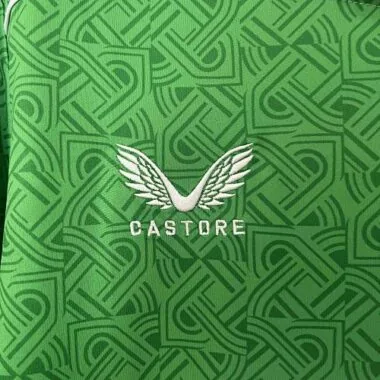 2024 Ireland Home Kit S-4XL Cheap Football Jersey Wholesale Yupoo in Nicejerseyshop Soccer Jerseys Y