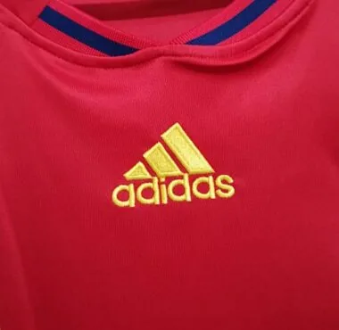2010 Spain home
