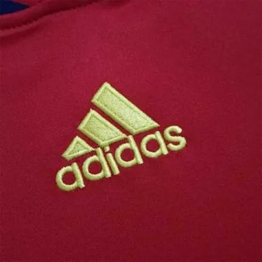 2010 Spain home