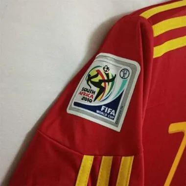 2010 Spain home