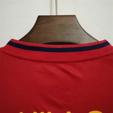 2010 Spain home