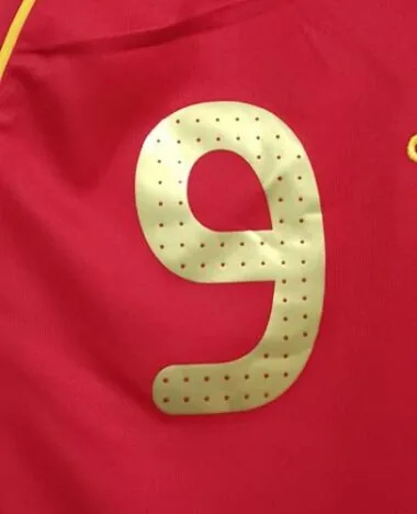 2008 Spain home