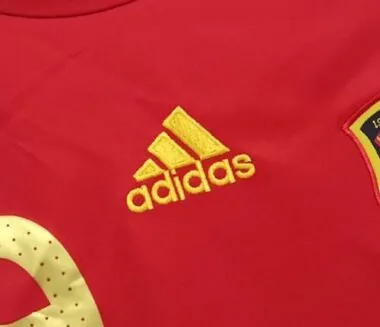 2008 Spain home