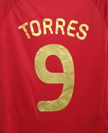 2008 Spain home