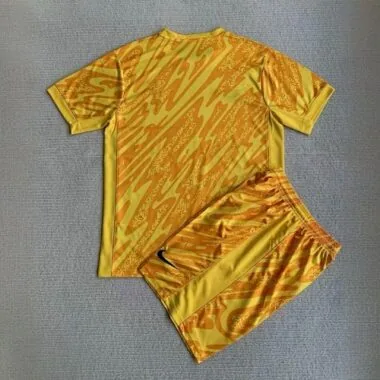 2024 France Goalkeeper Yellow Adults And Kid Kits