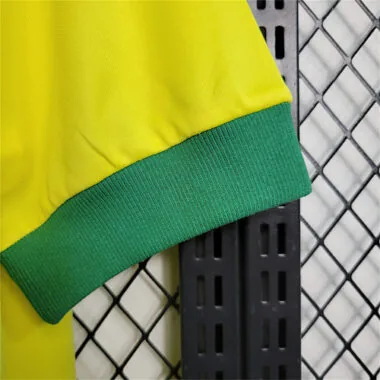 1958 Brazil home