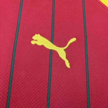 2024 Guinea Home Kit Cheap Jerseys Yupoo