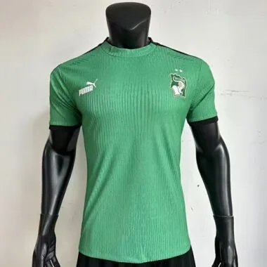 2023 Ivory Coast Green Kit Player Version Shirts Football AAAAJersey Yupoo