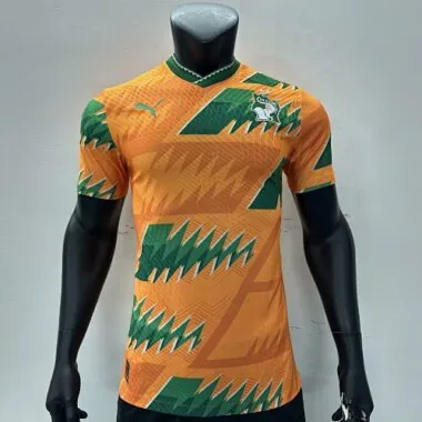 2023 Ivory Coast Special Edition Orange Kit Player Version Shirts Football AAAAJersey Yupoo