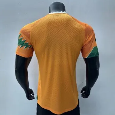 2023 Ivory Coast Special Edition Orange Kit Player Version Shirts Football AAAAJersey Yupoo