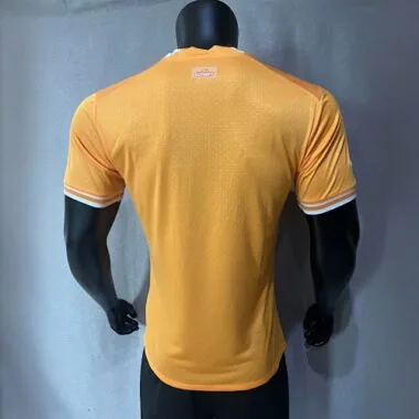 2023 Ivory Coast Home Kit Player Edition Shirts Football AAAAJersey Yupoo