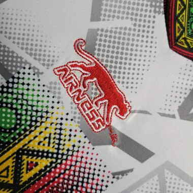 Maglie da calcio 2023 Mali Special Edition taglie S-XXL a prezzi convenienti