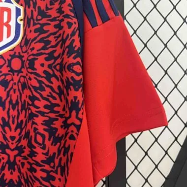 2024 Costa Rica Home Kit Copa America Uniform Soccer AAAAJerseys Yupoo
