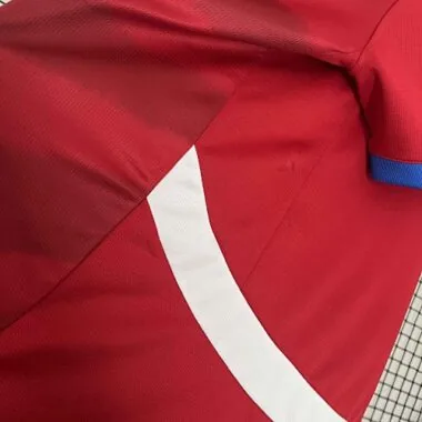 2024 Serbia Home Kit UEFA Euro Shirt Soccer Jerseys Yupoo