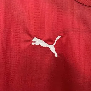 2024 Serbia Home Kit UEFA Euro Shirt Soccer Jerseys Yupoo