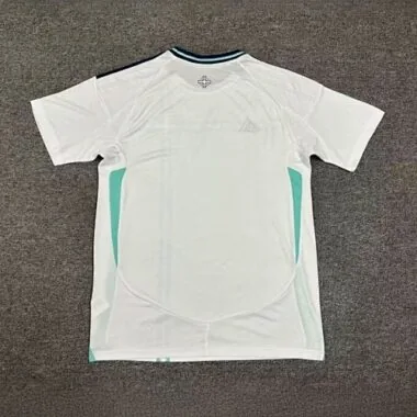 2024 Northern Ireland Away Kit Football Replicas Yupoo