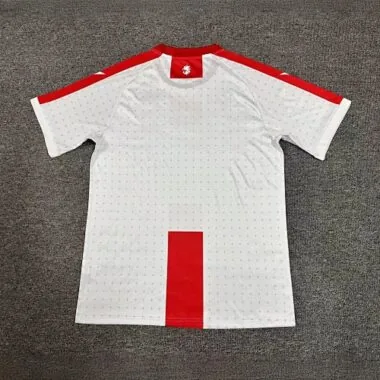 2024 Georgia Home Kit UEFA Euro Shirt Football Replicas Yupoo