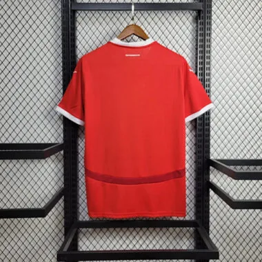 2024 Austria Home Kit UEFA Euro Shirt Football Replicas Yupoo