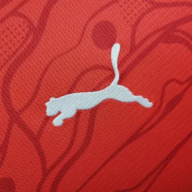 2024 Austria Home Kit UEFA Euro Shirt Football Replicas Yupoo