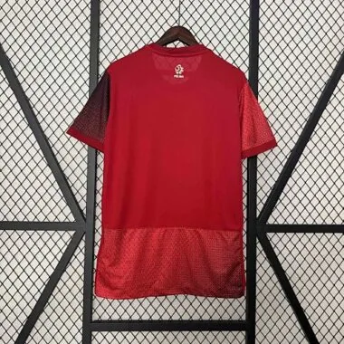 2024 Poland Away Kit UEFA Euro Shirt Football Replicas Yupoo