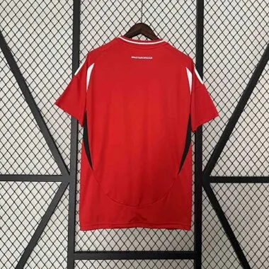 2024 Hungary Home Shirt UEFA Euro Football Replicas Yupoo
