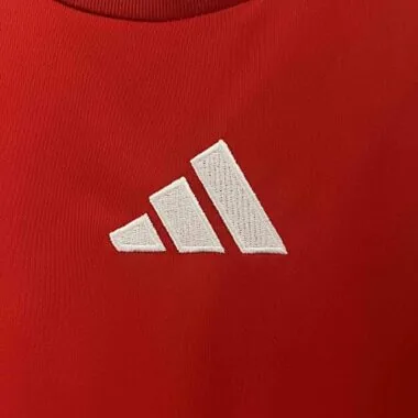 2024 Hungary Home Shirt UEFA Euro Football Replicas Yupoo