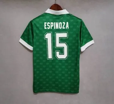 1995 Mexico home