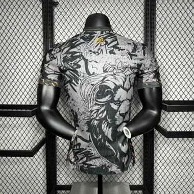 2024 Netherlands Jordan Special Edition Kit Player Version Shirt AAAAJersey Supplier Yupoo