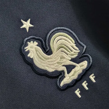 2018 France home