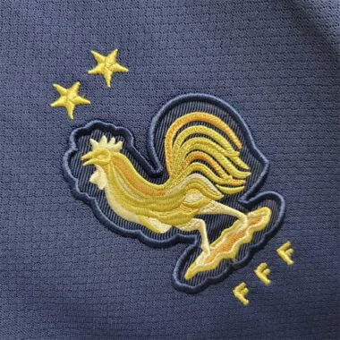 2022 France home