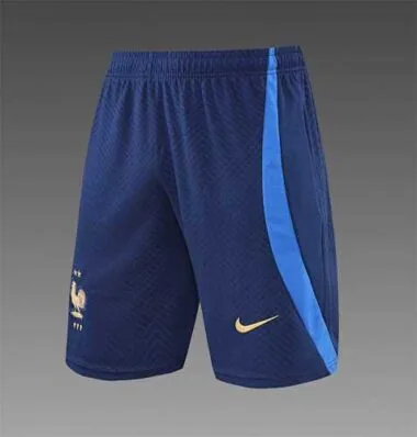 2022 France Training Suit Short Sleeve Kit Blue