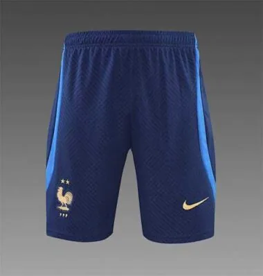 2022 France Training Suit Short Sleeve Kit White Blue