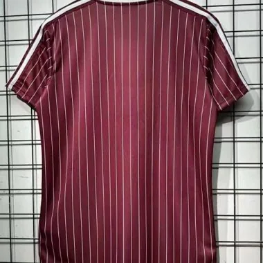 25-26 Ajax Terrace Icons Special Edition Kit Cheap Football Jersey Wholesale Yupoo