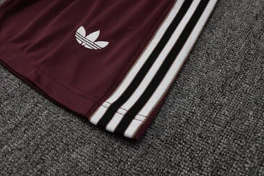 25-26 Ajax Training Kits Tracksuits Cheap Football Jersey Wholesale Yupoo