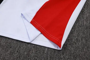 25-26 Ajax Training Kits Tracksuits Sweatshirt Cheap Football Jersey Wholesale Yupoo