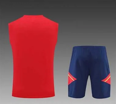 Equipación de entrenamiento Ajax 22-23 con camiseta sin mangas, color rojo