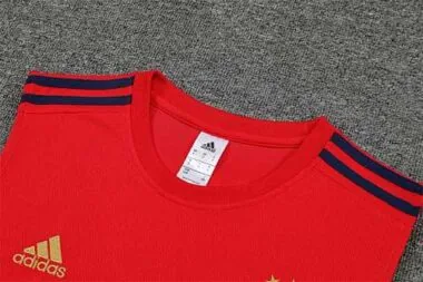 Equipación de entrenamiento Ajax 22-23 con camiseta sin mangas, color rojo